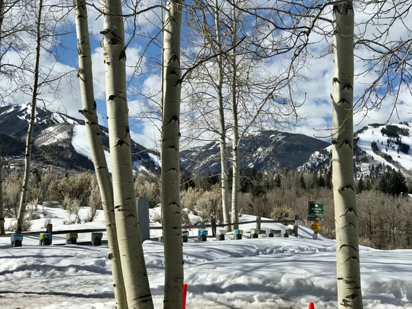 Janet Nelson photo 5