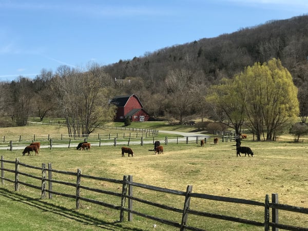 Janet Nelson photo 4