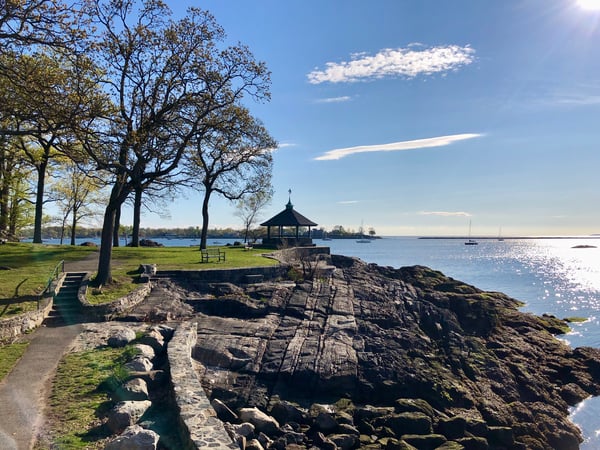 Robert Gamba photo 7