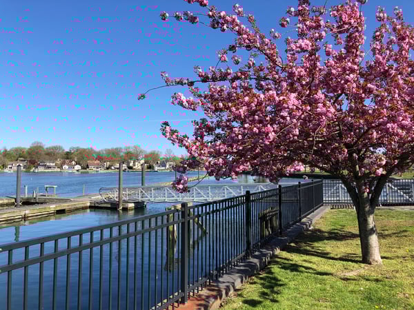 Robert Gamba photo 8