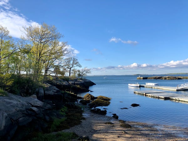 Robert Gamba photo 9