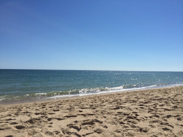 Laura DeVita photo 4