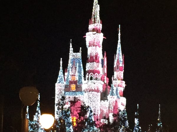 Debra Pardales photo 18