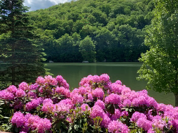 Alan T. O'Doherty photo 12