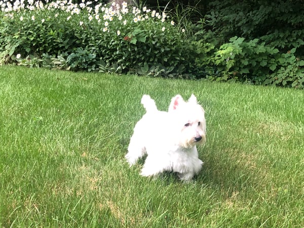 Tammy Tinnerello photo 4