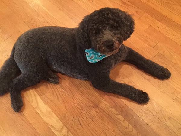 Joanne Queally Ecclesine photo 6