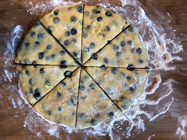 Jennifer Capala photo 6