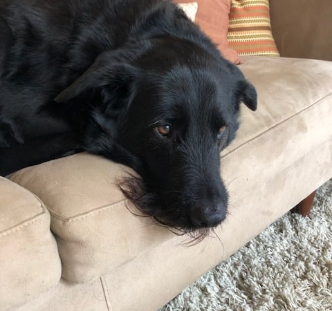 Jennifer Capala photo 2