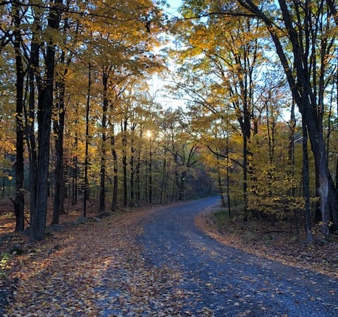 Jennifer Capala photo 9