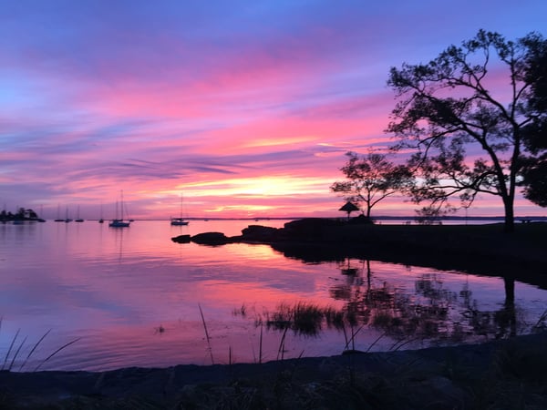 Sonya Cronin photo 5