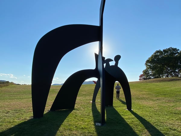 Lily Stelluti photo 3