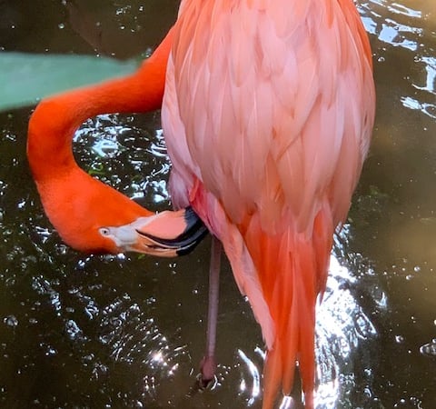 Marissa McCue photo 7