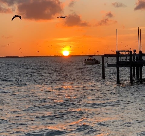 Marissa McCue photo 8