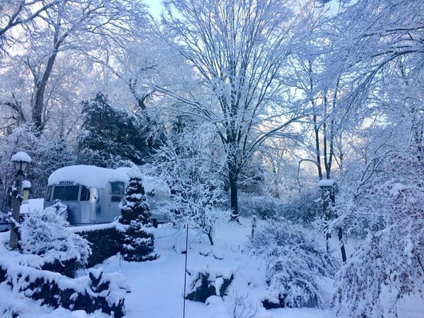 Marissa McCue photo 9