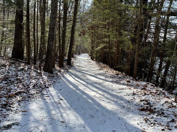 Victoria Bothroyd photo 10