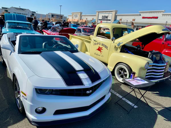 Nikki Travaglino photo 9