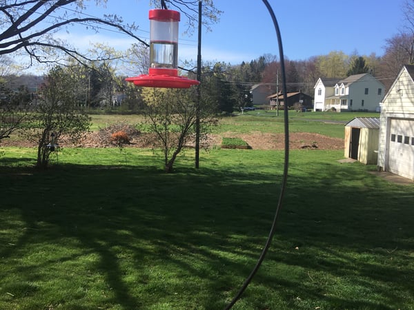 Mark McElrath photo 9