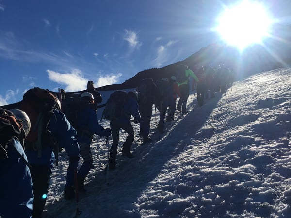 Denise Gutman-Tenner photo 4