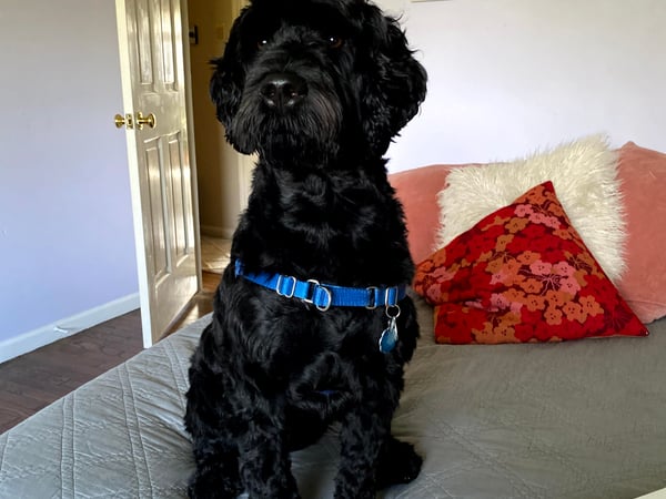 Alexis Lucente photo 4