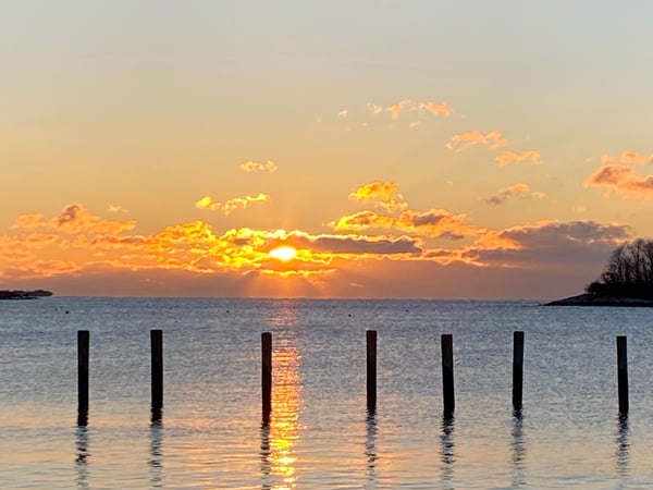 Dana Garitta photo 4