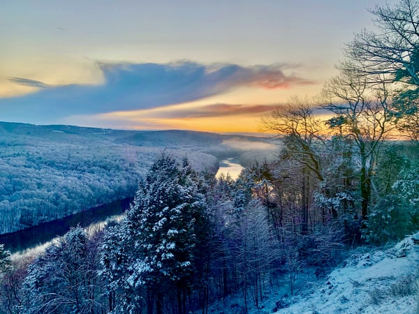 Lorraine Amaral photo 6