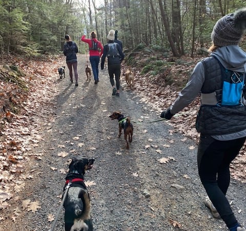 Jennifer Deiulis photo 4