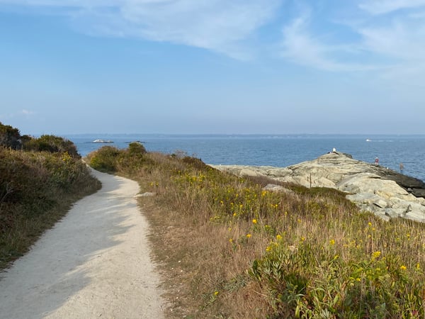 Christina Bellantoni photo 7