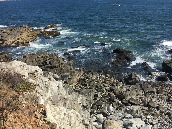 Christina Bellantoni photo 14