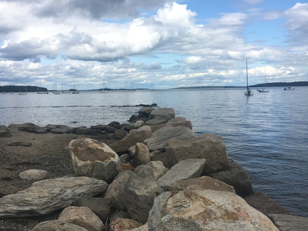 Christina Bellantoni photo 17