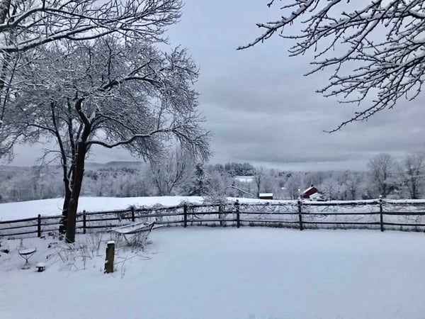 Gladys Montgomery photo 16