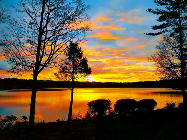 Gladys Montgomery photo 22