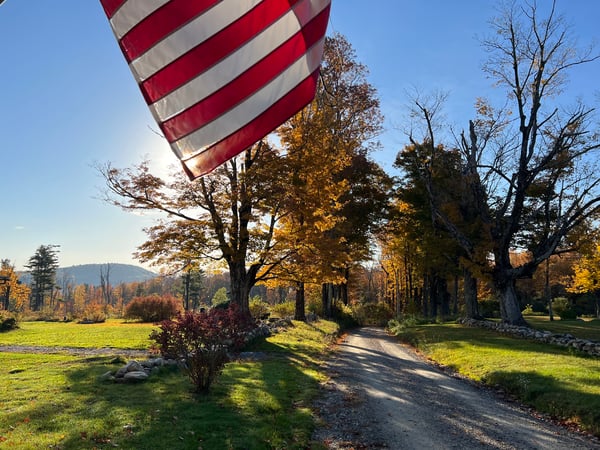 Chapin Fish photo 13