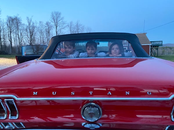 Chapin Fish photo 16