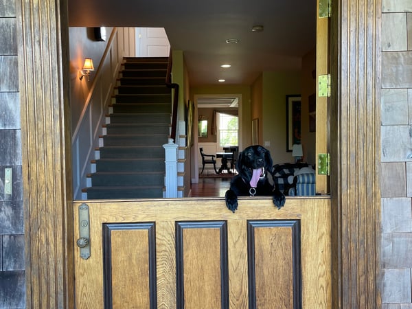 Rebecca Daniele Strozza photo 2