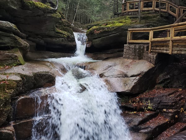 Carolyn Greer photo 4