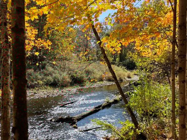 Christian Jensen photo 15