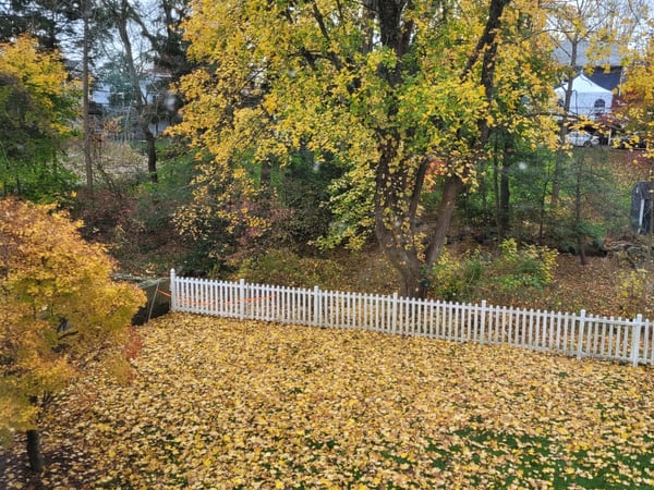 Colette Kabasakalian photo 14