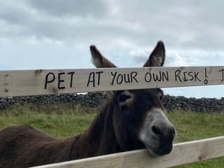 Jane Walters photo 6