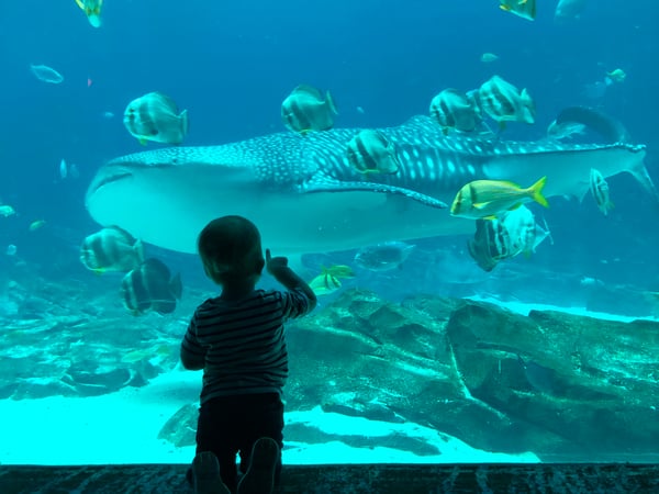 Danielle Giulian photo 8