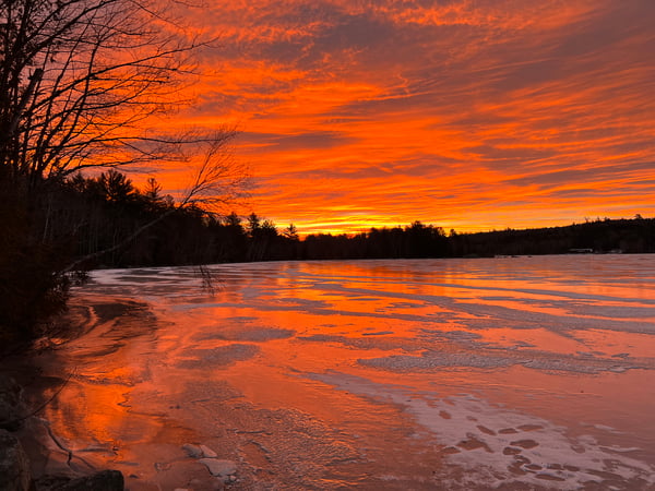 Karyn Collins photo 1