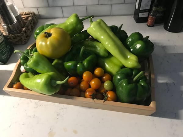 Joanne Kelley photo 13