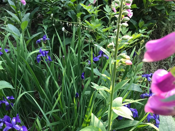 Joanne Kelley photo 11