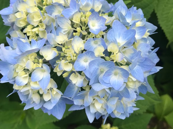 Joanne Kelley photo 12