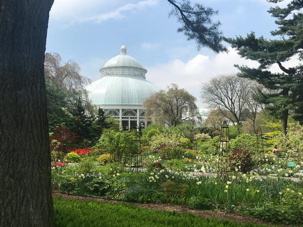 Joanne Kelley photo 23