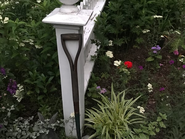 Joanne Kelley photo 21