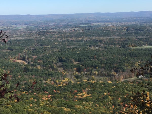 Michael Conlogue photo 4