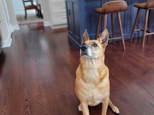 Scott Glenney photo 6