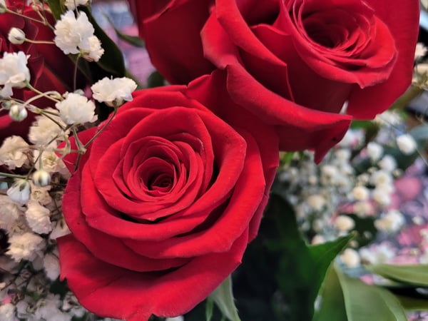 Carolyn Greer photo 7