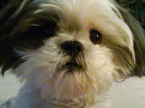 Andrea Markowitz photo 3