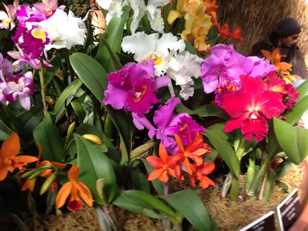 Andrea Markowitz photo 7